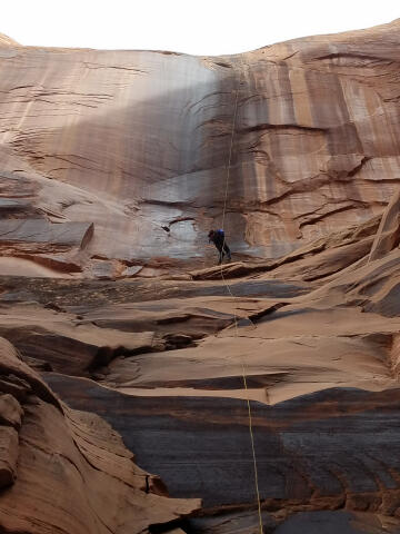 Lizard Country - Moab