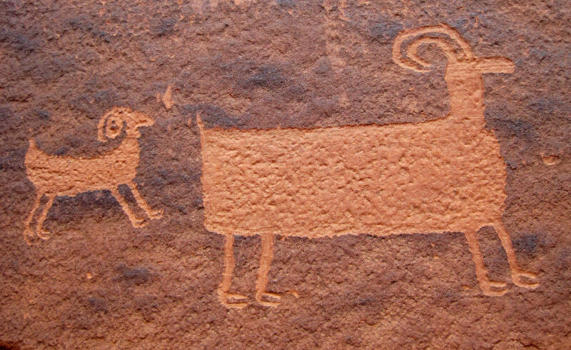 Big Horn Sheep near the Owl Petroglyph.
