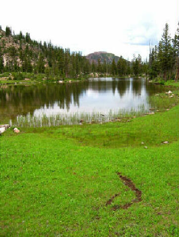 Ruth Lake - Uinta Mtns