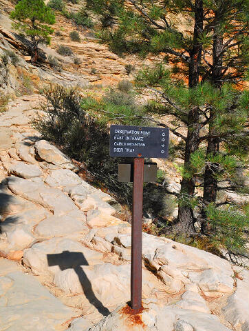 Observation Point - Zion National Park