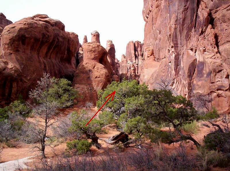 Looking north from the Rock Garden